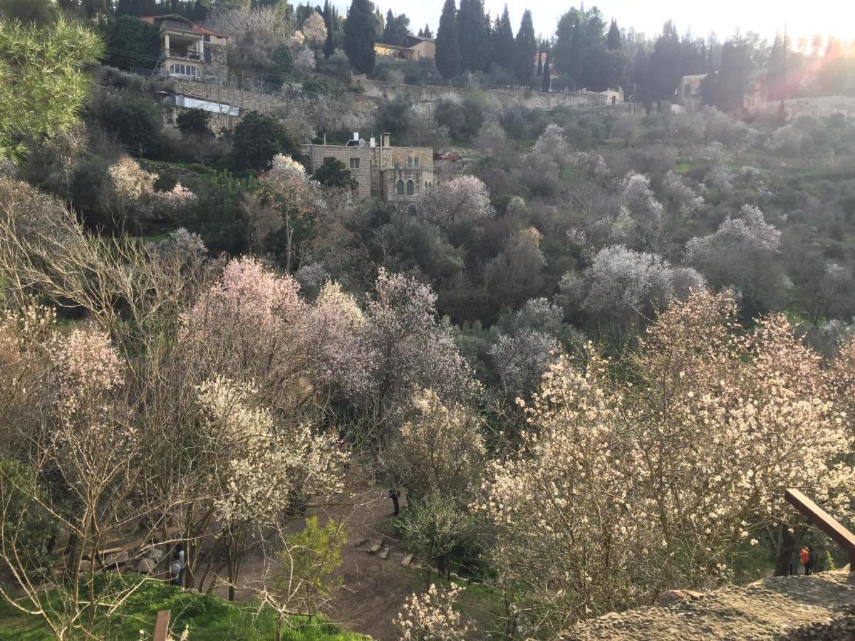 Sweet 'En Kerem View Bed and Breakfast Jeruzalem Buitenkant foto